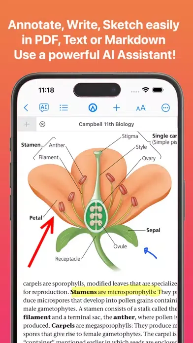 Ảnh chụp màn hình của AI Notes - Smart PDF & Words