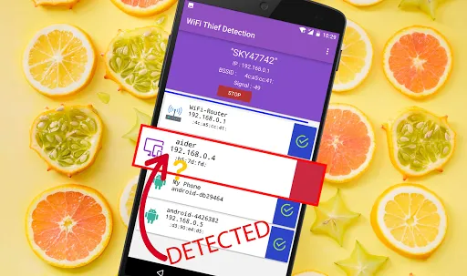 WiFi Thief Detection Screenshots