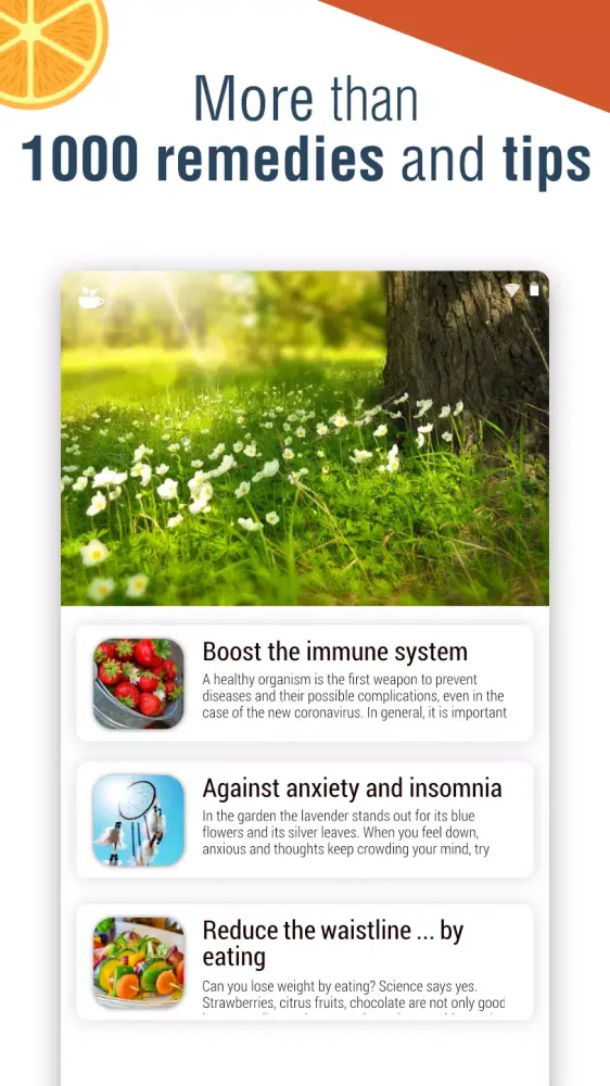 Скриншоты Natural Remedies
