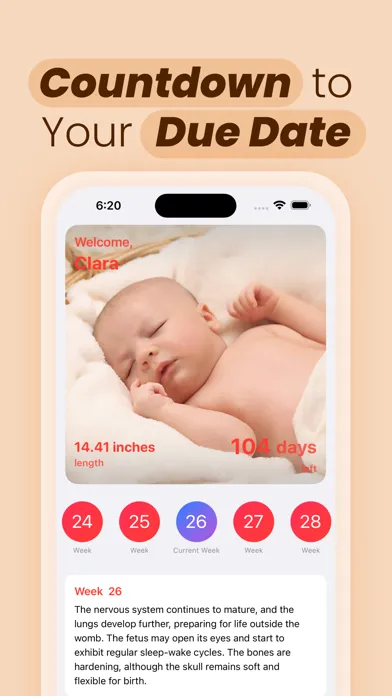 Tangkapan skrin Pregnancy Countdown • Baby