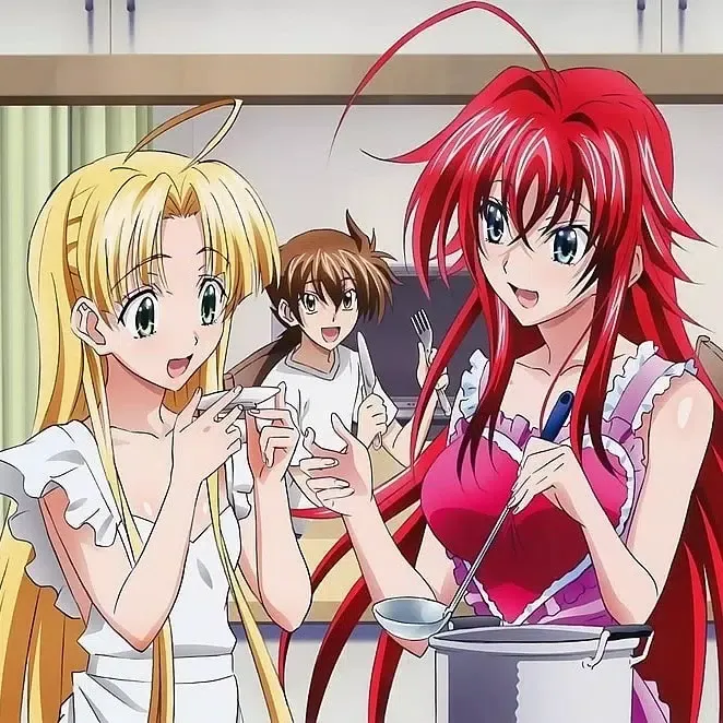Capturas de tela do DXD High School Wallpapers HD