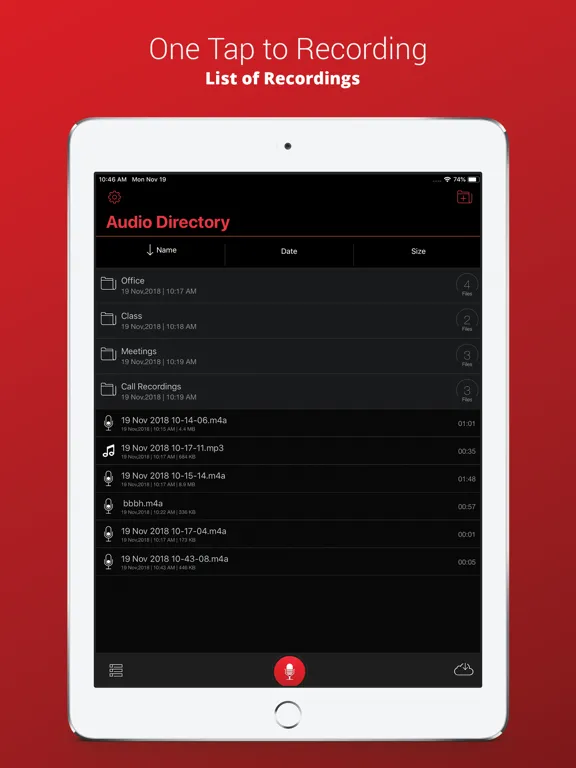Voice Recorder Plus Pro iPad  Ekran Görüntüleri