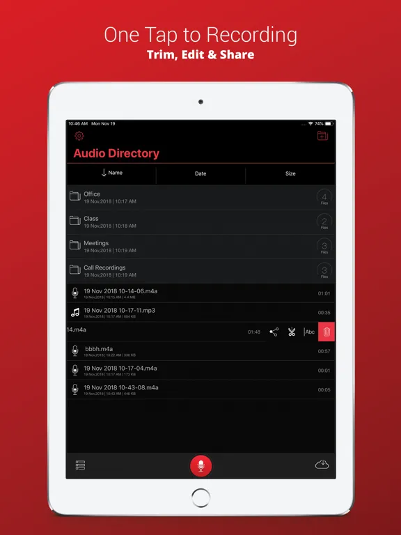 Voice Recorder Plus Pro iPad  Ekran Görüntüleri
