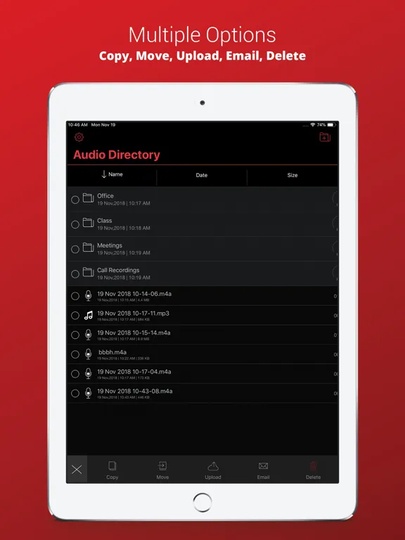 Voice Recorder Plus Pro iPad  Ekran Görüntüleri