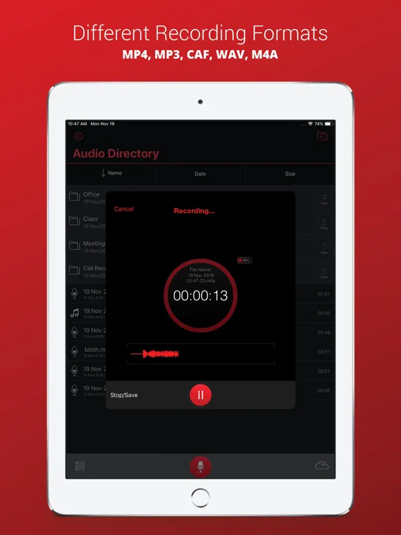 Voice Recorder Plus Pro iPad  Ekran Görüntüleri