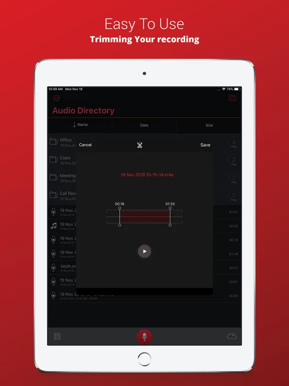 Voice Recorder Plus Pro iPad  Ekran Görüntüleri