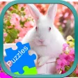 Rabbit Animal Jigsaw Puzzle Drag and Drop for Kids Rabbit Animal Jigsaw Puzzle Drag and Drop for Kids