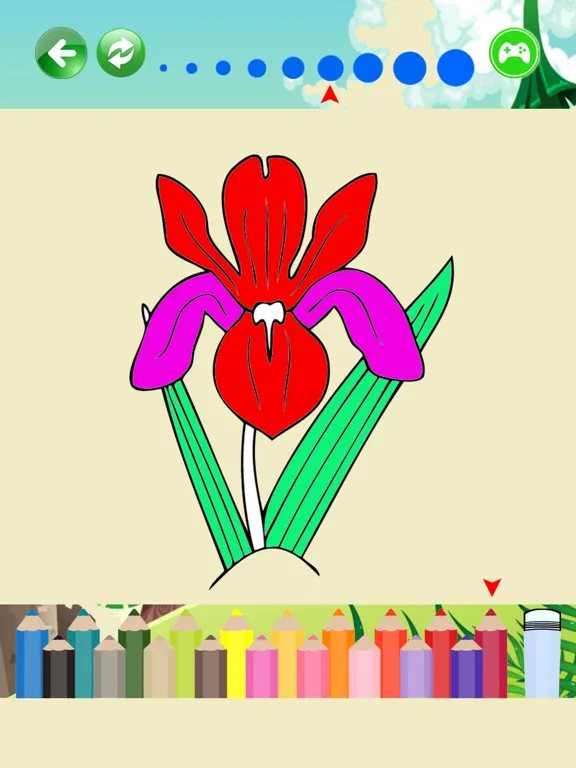 Скриншоты Beautiful Flowers Coloring Pages For Kids iPad 