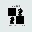 Chess Mate Puzzle