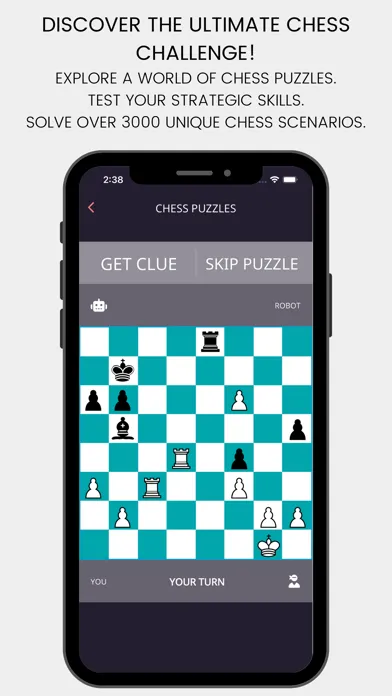 Chess Mate Puzzle 스크린샷