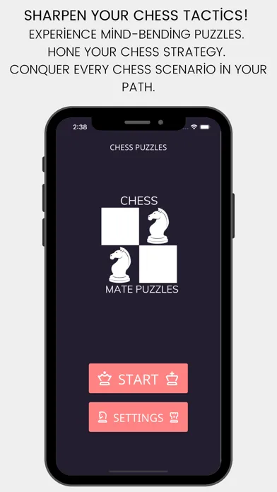 Chess Mate Puzzle 스크린샷