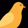 Kanairi