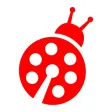 Kanal Maraş TV Haber