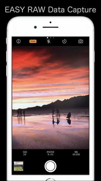 Simple RAW Camera应用截图