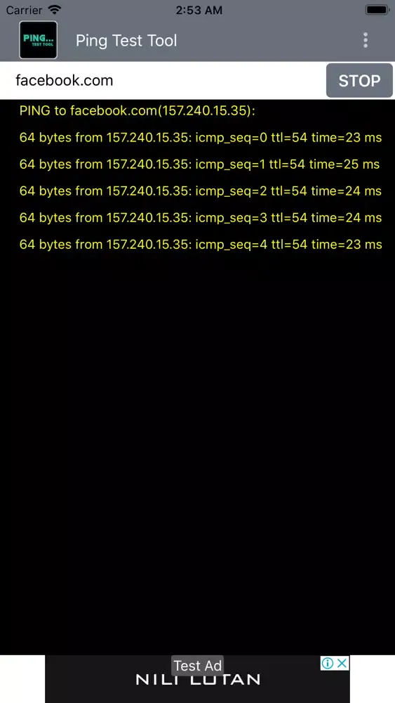 Zrzuty ekranu Ping Test Tool