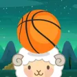 Amazing Animals Basketball