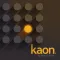 Kaon Platform