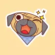 Doggy Facial Expressions