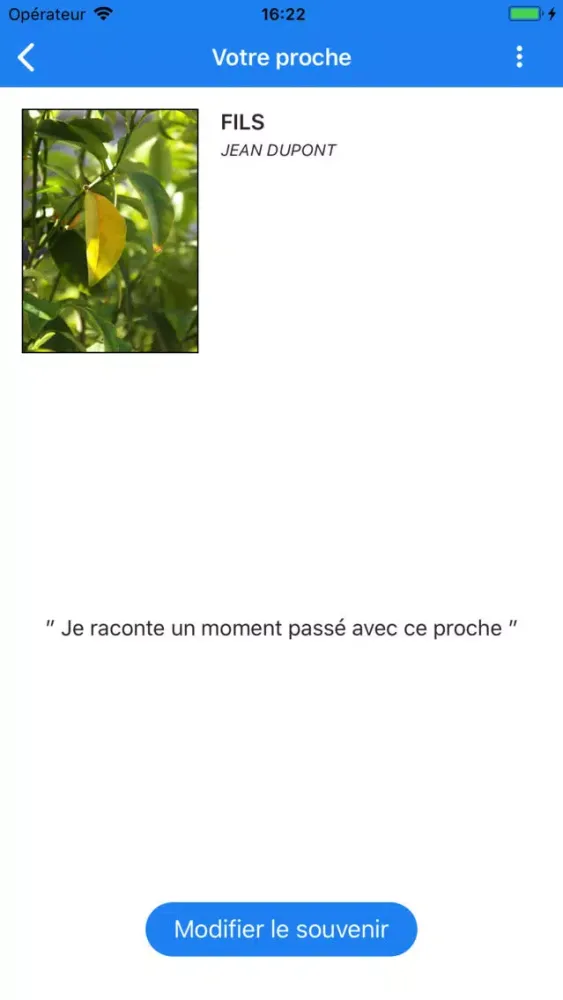 Souvenir Screenshots