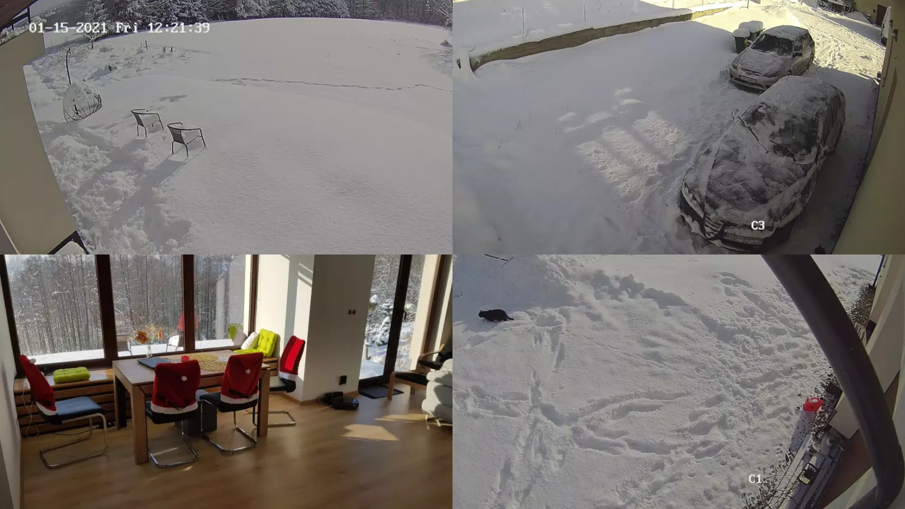 Screenshot di IP Camera Viewer