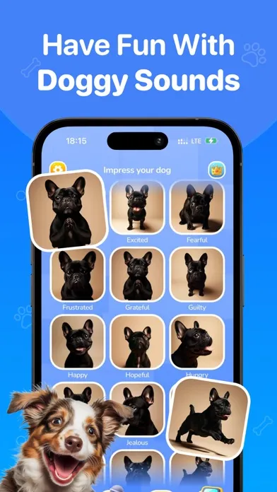 Zrzuty ekranu Dog Translator・Games For Dogs