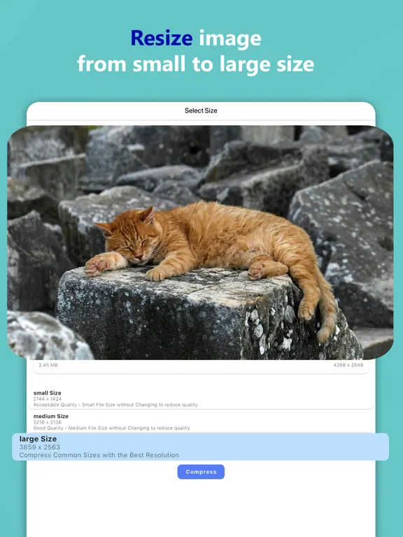 Reduce Photo Size iPad  스크린샷