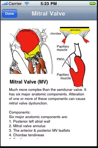 Heart Illustrated स्क्रीनशॉट