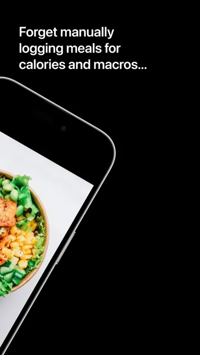 Tangkapan layar MealSnap: AI Food Log Tracker