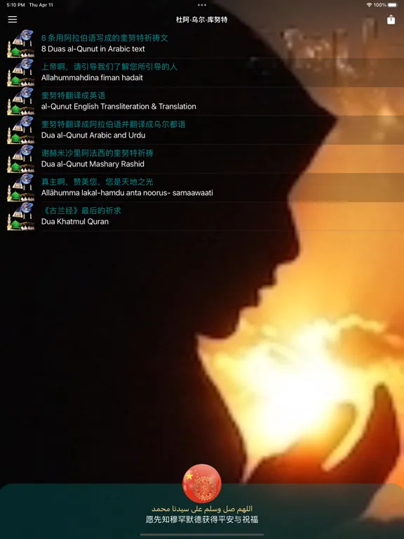 Capturas de pantalla de Quran Chinese Translation iPad 