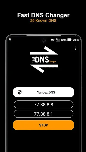 Zrzuty ekranu Fast DNS Changer