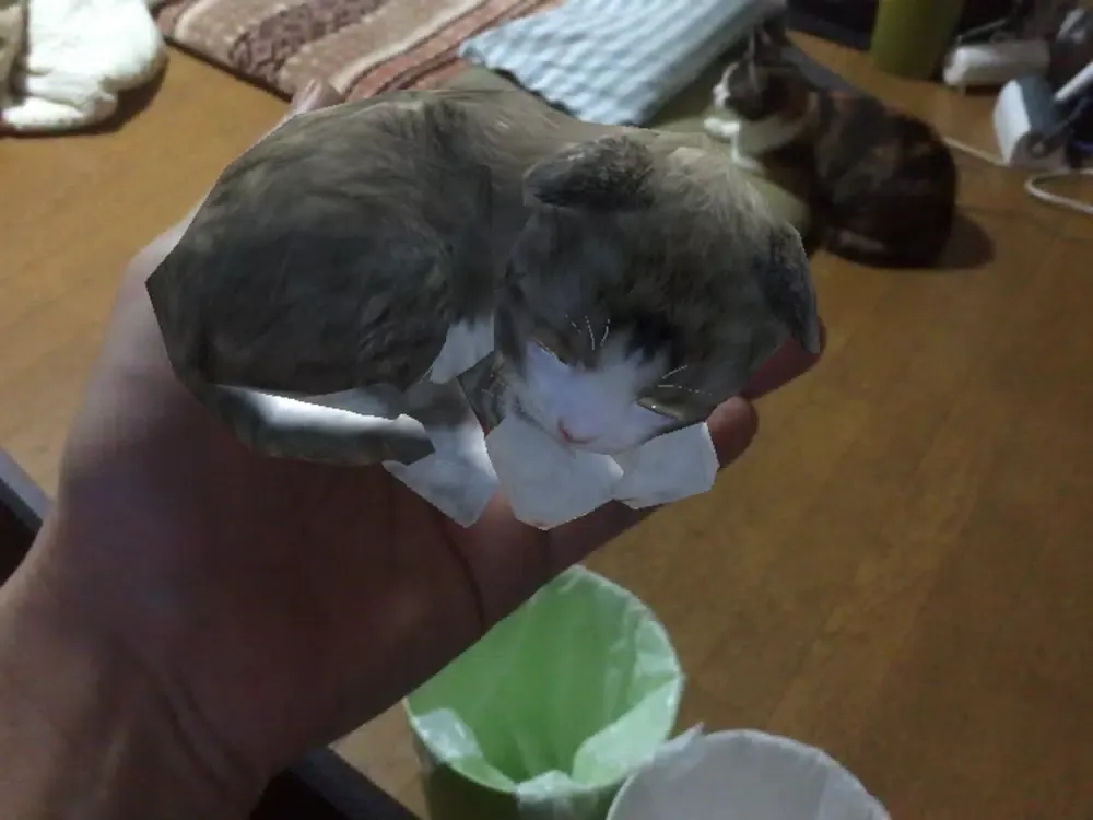 Tangkapan layar Touching Cat AR iPad 
