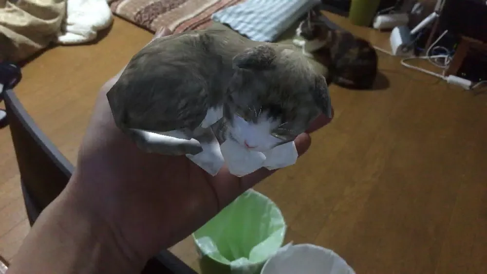 Tangkapan layar Touching Cat AR