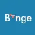 Binge NYC