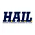 HAIL Michigan Athletics