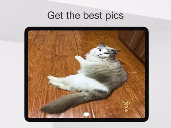 Captures d'écran de MeowCam-Play sound attract pet iPad 