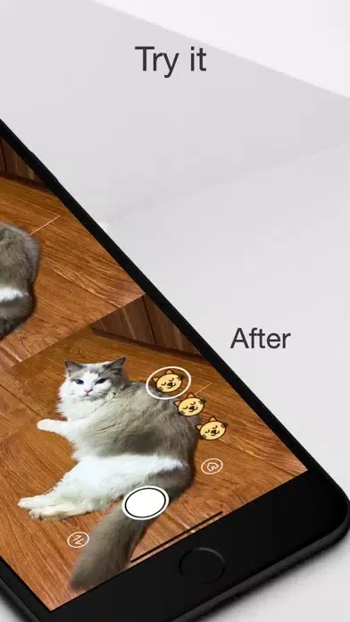 Captures d'écran de MeowCam-Play sound attract pet
