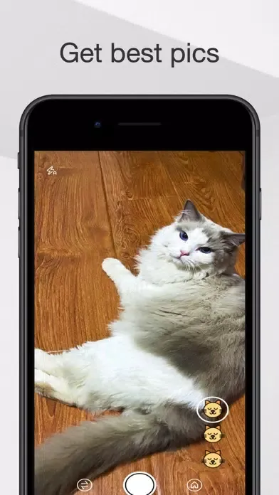 Captures d'écran de MeowCam-Play sound attract pet