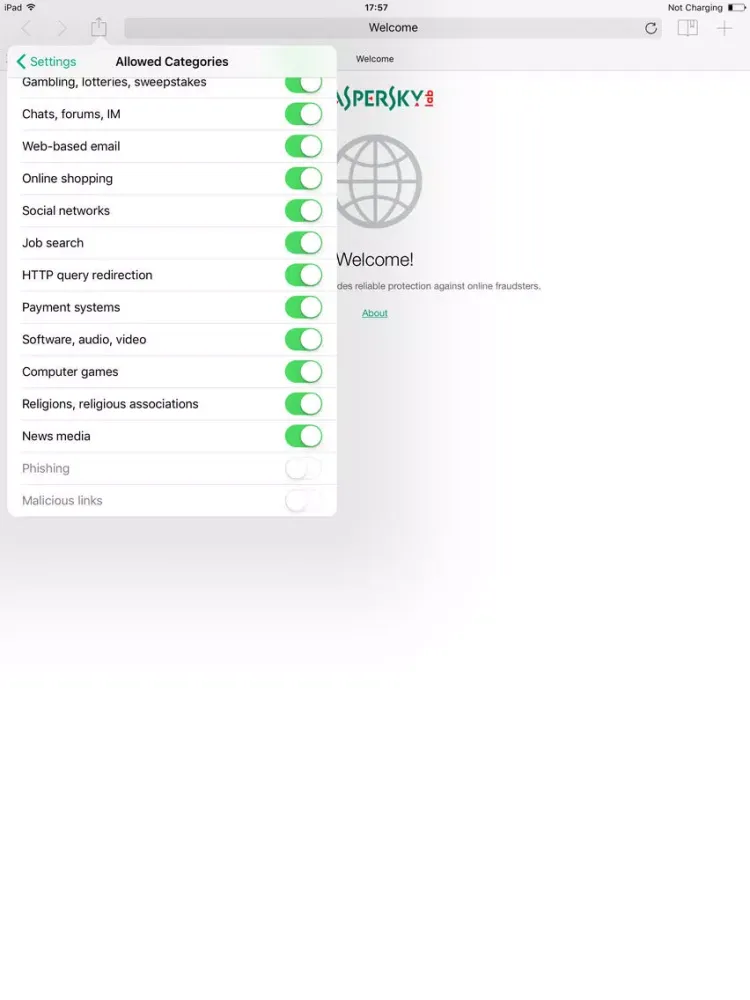 Kaspersky Safe Browser iPad  Ekran Görüntüleri