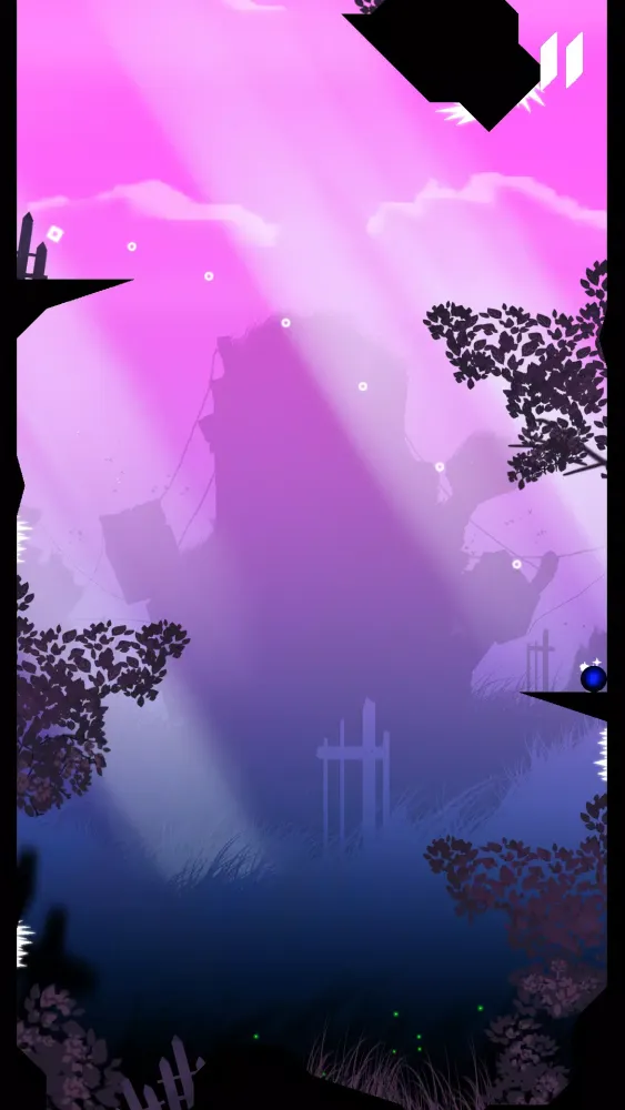 تصاویر Night of Shooting Stars