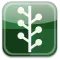 Katecca Testing App