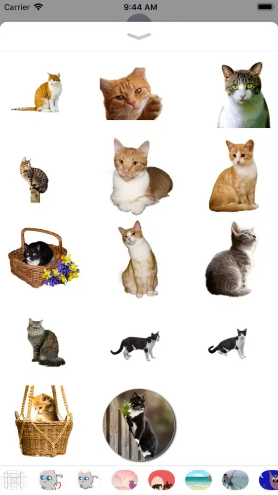Realistic Cat Stickers 스크린샷