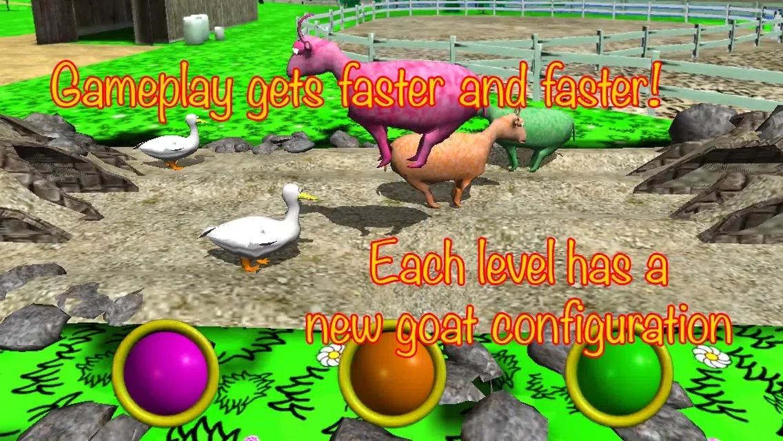 تصاویر Jumpy Goats