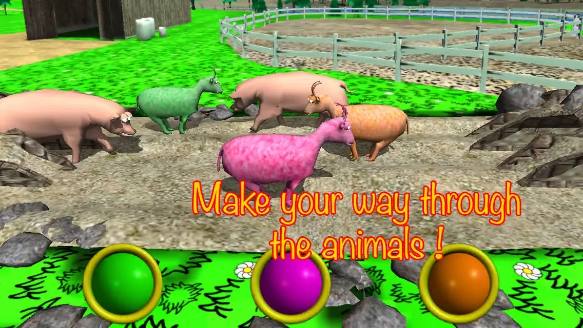 تصاویر Jumpy Goats