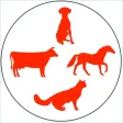 Animal & Veterinary Drugs Animal & Veterinary Drugs