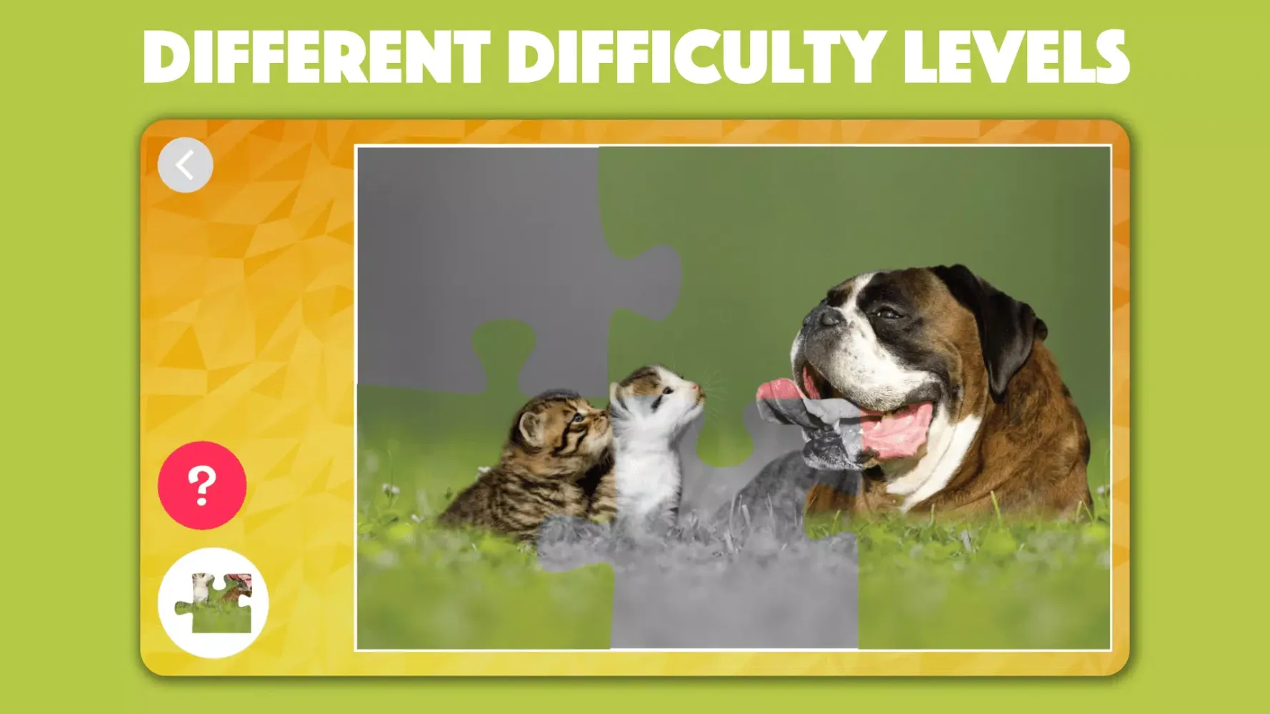 Dogs & Cats Puzzles for kids应用截图