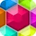 Block Hex Fit Puzzle