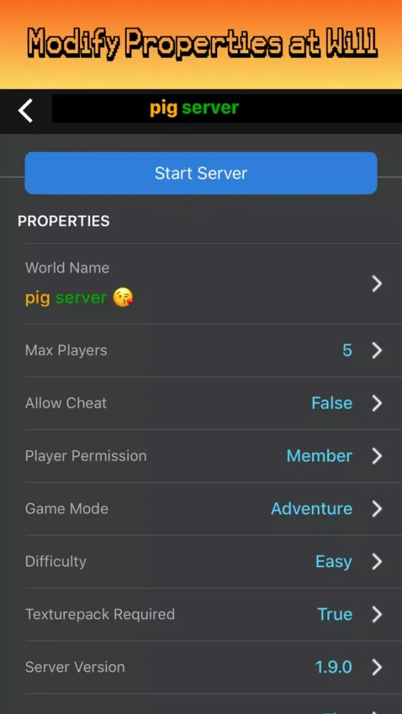 Zrzuty ekranu Server for Minecraft