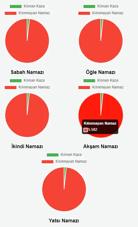 Kaza Namazı Takip Sistemi Screenshots