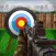 Target Shooting King Game