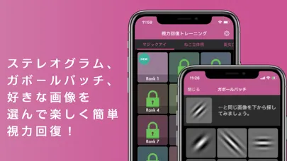 視力回復トレーニング -マジカルアイ・ガボールパッチ・立体視 スクリーンショット